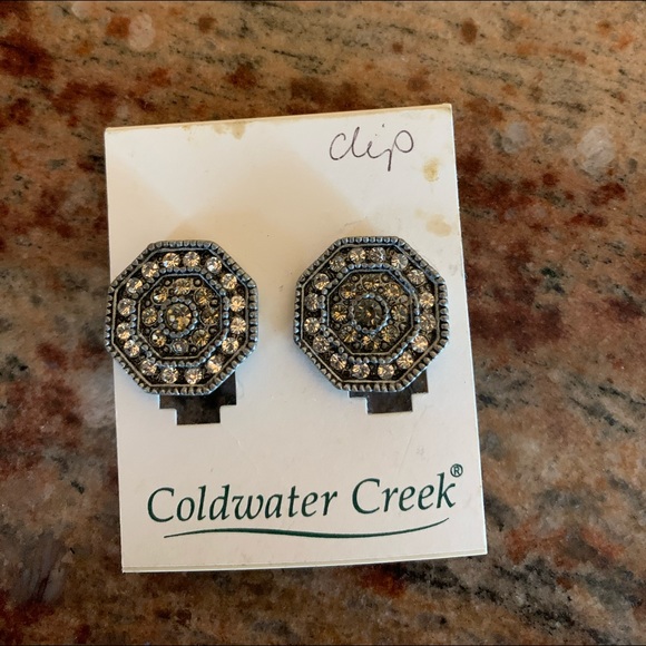 Clip Earrings - Picture 1 of 3